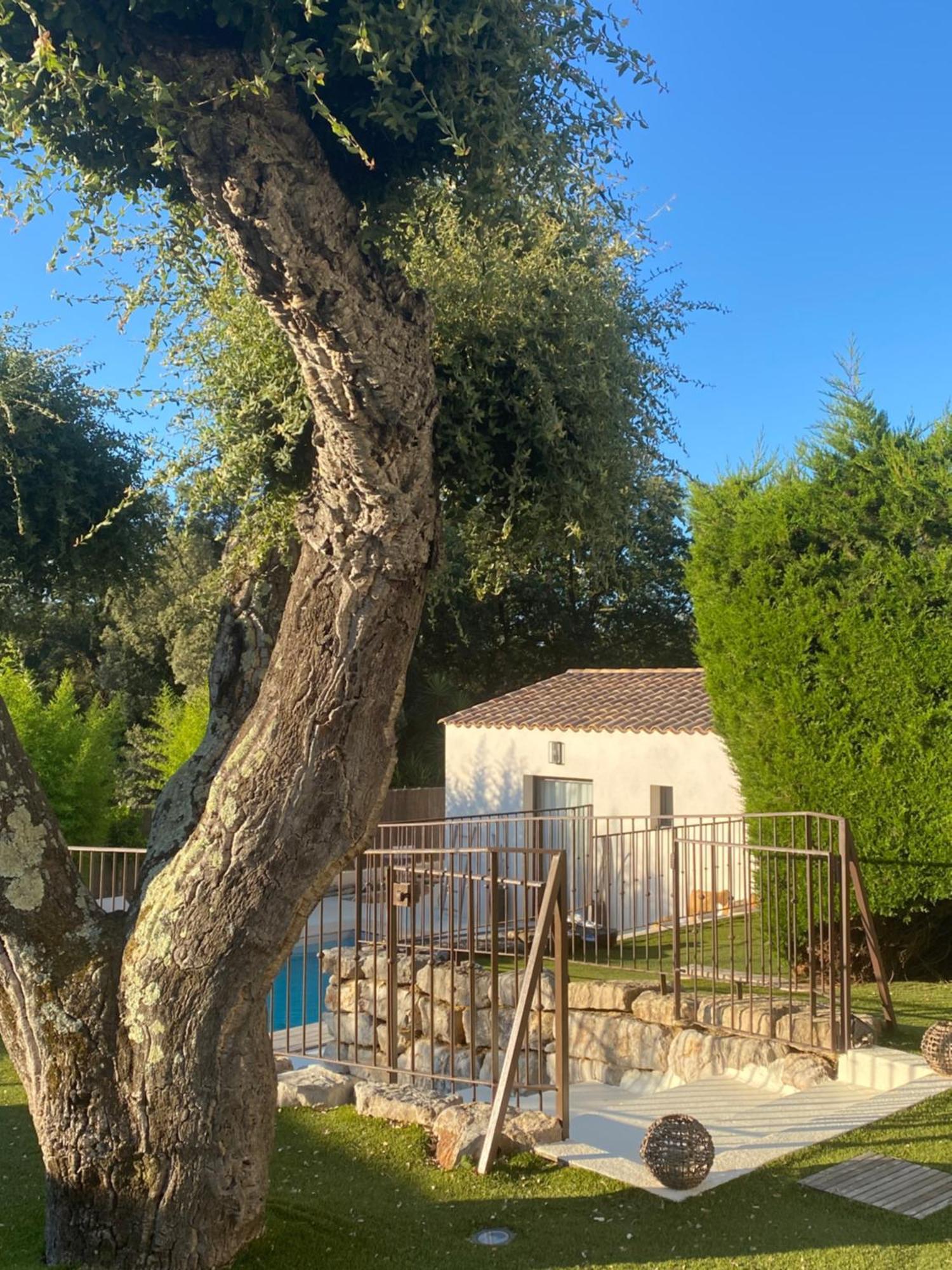 Le Cabanon De Val Bed & Breakfast Gassin Eksteriør bilde